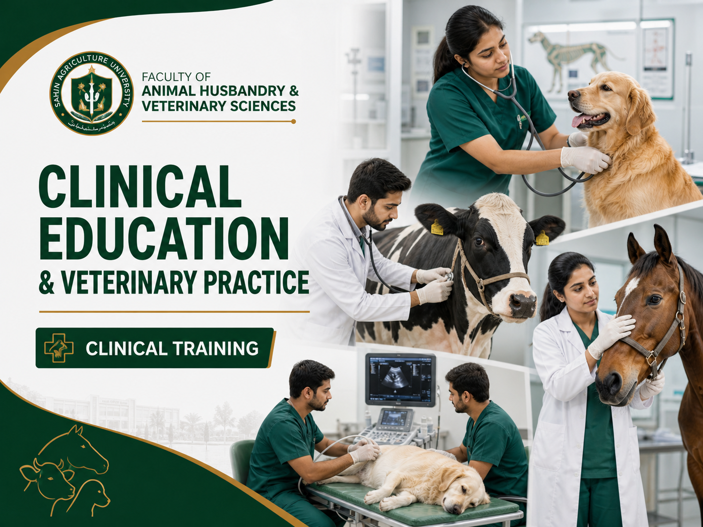 Clinical Education and Training