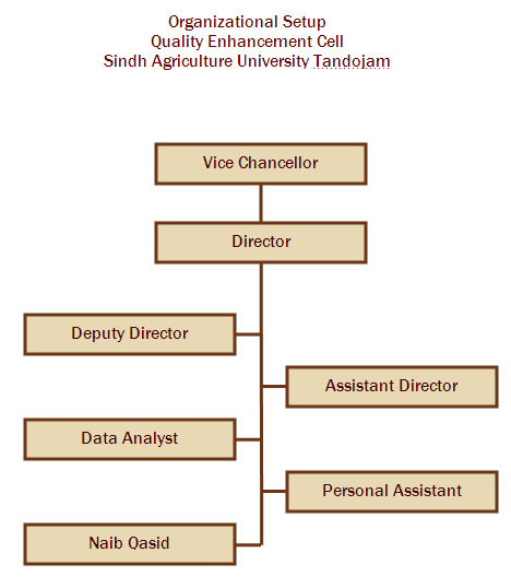 QEC Organogram