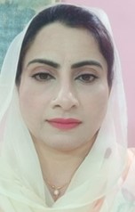 Prof. Dr. Hakimzadi Wagan