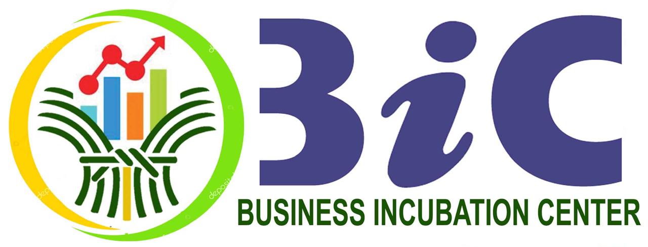 BIC SAU