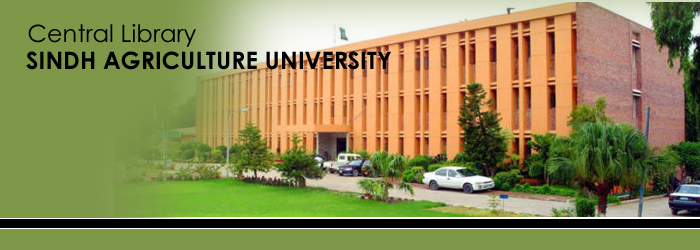 Library_sau