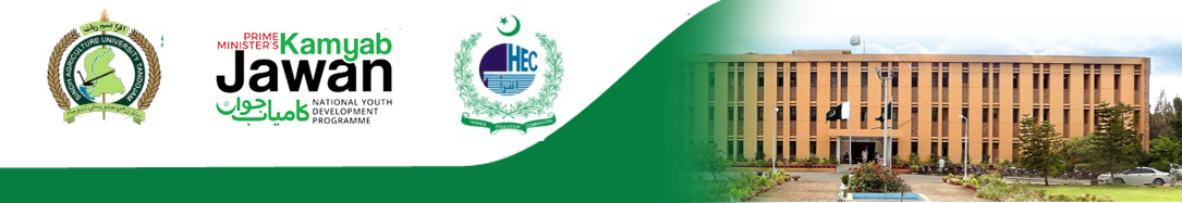 Kamyab Jawan Markaz Banner