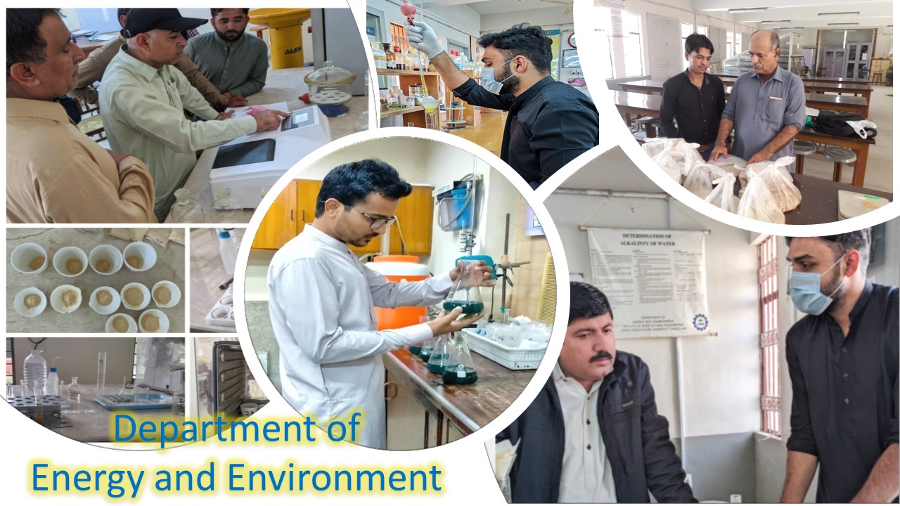 Department of Energy and Environment Sindh Agriculture University