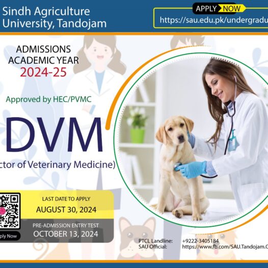 DVM- Doctor of Veterinary Medicine