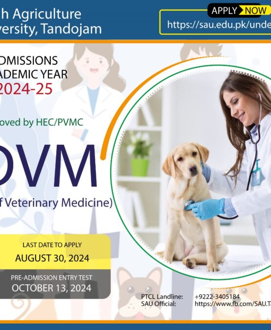 DVM- Doctor of Veterinary Medicine