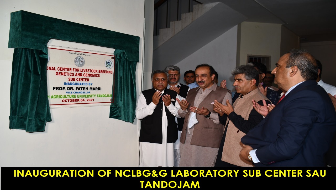 Molecular Biology Laboratory